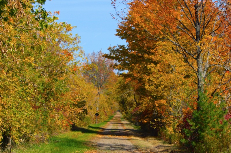Fred Meijer White Pine Trail State Park - Entire Trail